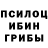 Псилоцибиновые грибы Magic Shrooms Meerpirat