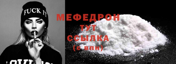 твердый Протвино