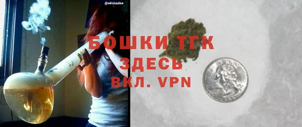 твердый Протвино