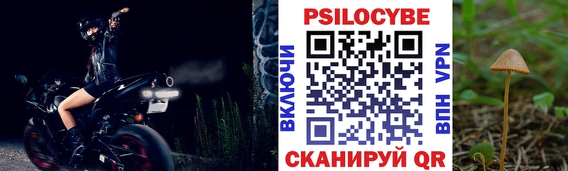 мега зеркало  Петухово  Псилоцибиновые грибы Psilocybine cubensis 