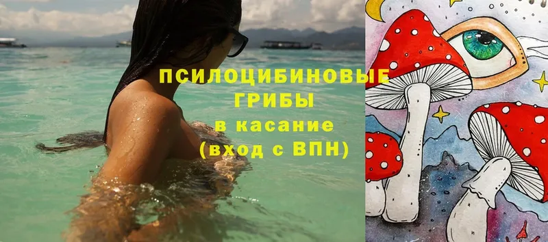 Галлюциногенные грибы ЛСД Петухово